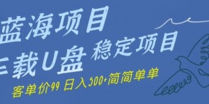 蓝海项目车载U盘稳定项目，挣的就是信息差，客单价99，日入几张简简单单