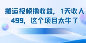 搬运抖音中视频撸收益，1天收入多张，这个项目太牛了