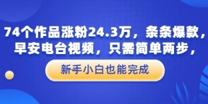 74个作品涨粉24.3W，条条爆款，早安电台视频，只需简单两步，新手小白也能完成