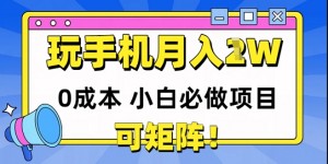 0成本小白必做项目，可矩阵，玩玩手机月入1w+
