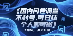 国内问卷调查，不封号，可日结，多劳多得，工作室，个人都可做