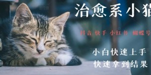 拆解，疯狂火爆！抖音，小红书，视频号小猫治愈的视频，轻松制作+快速拿到结果