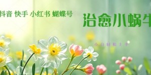 疯狂火爆！抖音，小红书，视频号蜗牛治愈的视频，轻松制作+快速拿到结果