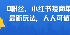 0粉丝，小红书商单最新玩法，人人可做，月入3k