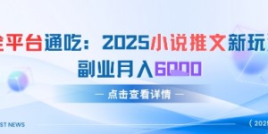全平台通吃：2025小说推文新玩法，副业月入6k