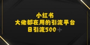 小红书，大佬都在用的大粉平台，日引流500+