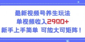 视频号养生玩法，单视频收入2.9k，新手上手简单