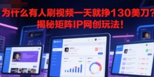 为什么有人刷视频一天就挣130美刀？揭秘矩阵IP网创玩法!