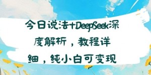 今日说法+DeepSeek深度解析，教程详细，纯小白可变现