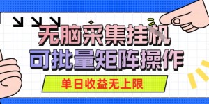 无脑采集自动运行，可批量矩阵操作，单日收益无上限
