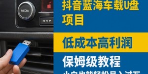 抖音蓝海车载U盘项目，低成本高利润保姆级教程，小白也能轻松月入过W