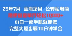 25年7月蓝海项目，公转私电商，随便做做单月轻松1w，小白一部手机就能做，完整实操步骤10分钟学会