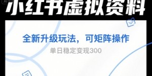 小红书虚拟资料全新升级玩法，可矩阵操作，单日稳定变现3张