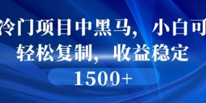 冷门项目中黑马，小白可轻松复制，收益稳定1.5k