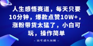 人生感悟赛道，每天只要十分钟，爆款点赞10W+，涨粉带货太猛了，小白可玩，操作简单