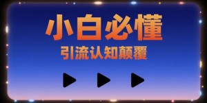 小白必懂，引流认知颠覆，三个视频讲透