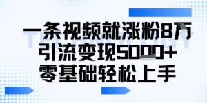 一条视频就涨粉8W引流变现5k+，0基础项目轻松上手