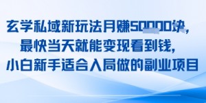 玄学私域新玩法月入1W+，最快当天就能变现看到米，小白新手适合入局做的副业项目