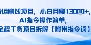 搬运挣钱项目，AI指令操作简单，小白月入1W+，全程干货项目拆解