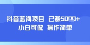 抖音蓝海项目，小白可做，操作简单，可批量制作，已挣5k+
