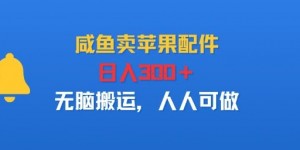 咸鱼卖苹果配件，日入3张+，无脑搬运，人人可做