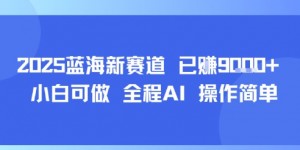 2025蓝海新赛道 已挣9k+ 小白可做 全程AI 操作简单