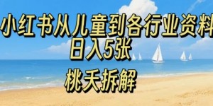 小红书从儿童到各行业学习资料，日入5张