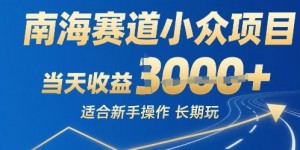 南海赛道小众项目，当天收益1k+适合新手操作可以长期玩