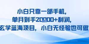 小白只靠一部手机，单月到手2W+利润，玄学蓝海项目，小白无经验也可做