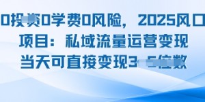 0学费0风险，2025风口项目：私域流量运营变现，当天可直接变现