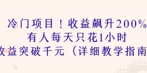 冷门项目！收益飙升200% 有人每天只花1小时 收益突破1k(详细教学指南)