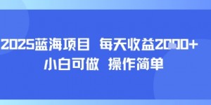 2025蓝海项目 每天收益多张 小白可做 操作简单