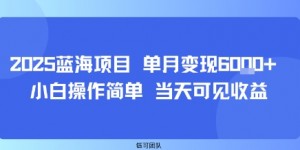 2025蓝海项目 单月变现6k+ 小白操作简单 当天可见收益