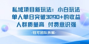 私域项目新玩法小白玩法单人单日突破1k的收益人群质量高付费意识强