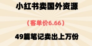 ⼩红书国外资料，客单价6.66，49篇笔记卖出上万份