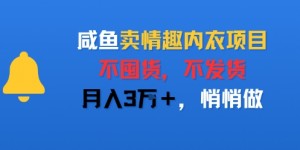 咸鱼卖情趣内衣项目，不囤货，不发货，月入3W+，悄悄做