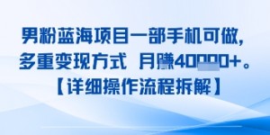 8月新男粉蓝海项目一部手机可做，多重变现方式 月入4W+【详细操作流程拆解】