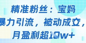 精准粉丝：宝妈暴力引流方法，被动成交，月盈利超1w+