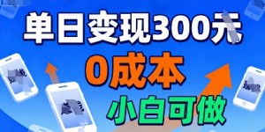 适合新手起步，零成本就能做，当天操作当天见收益，还能无限复制放大的项目