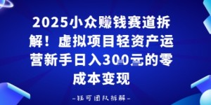 2025小众挣钱赛道拆解！虚拟项目轻资产运营新手日入3张的零成本变现