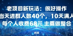 老项目新玩法：很好操作当天进群人数40个，10天满人每个人收费68米 主要做整合