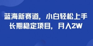 蓝海新赛道，小白轻松上手，长期稳定项目，月入2W