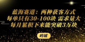 蓝海赛道：两种获客方式每单只有30-100米 需求量大每月累积下来能突破3W