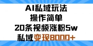 AI私域玩法，操作简单，20条视频涨粉5w，私域变现8k+
