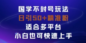 国学赛道不封号玩法，日引50+精准粉适合多平台，小白也可快速上手