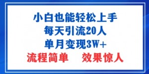 小白也能轻松上手的宝妈项目，每天引流20人，单月变现3W+，流程简单，效果惊人