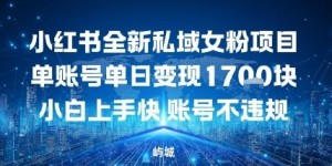 小红书全新私域女粉项目单账号单日变现多张，小白上手快账号不违规建议准备多账号操作