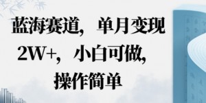 蓝海赛道，小红书私域项目，单月变现2W+，小白可做，操作简单