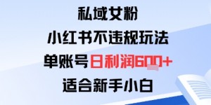 私域女粉：小红书平台不违规玩法单账号日利润6张+适合新手小白