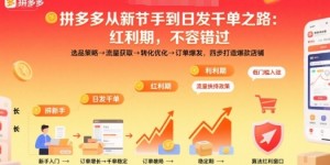 拼多多从新手到日发千单之路，拼多多红利期，不容错过【音频】